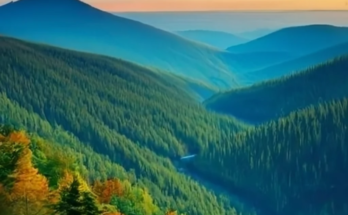 Trails Carolina Reviews