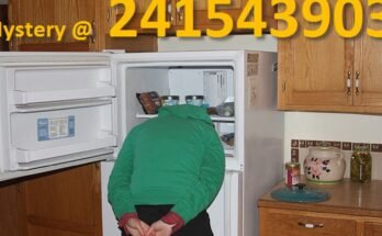 Heads In Freezers: The Mystery of 241543903