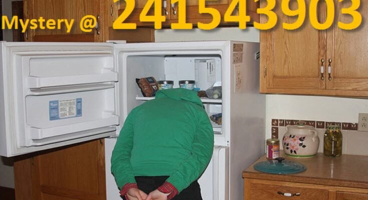 Heads In Freezers: The Mystery of 241543903